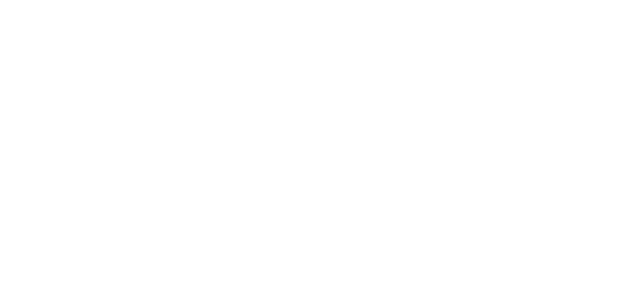WalserTechGroup